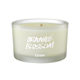 An image of Orange Blossom - Scented Candle